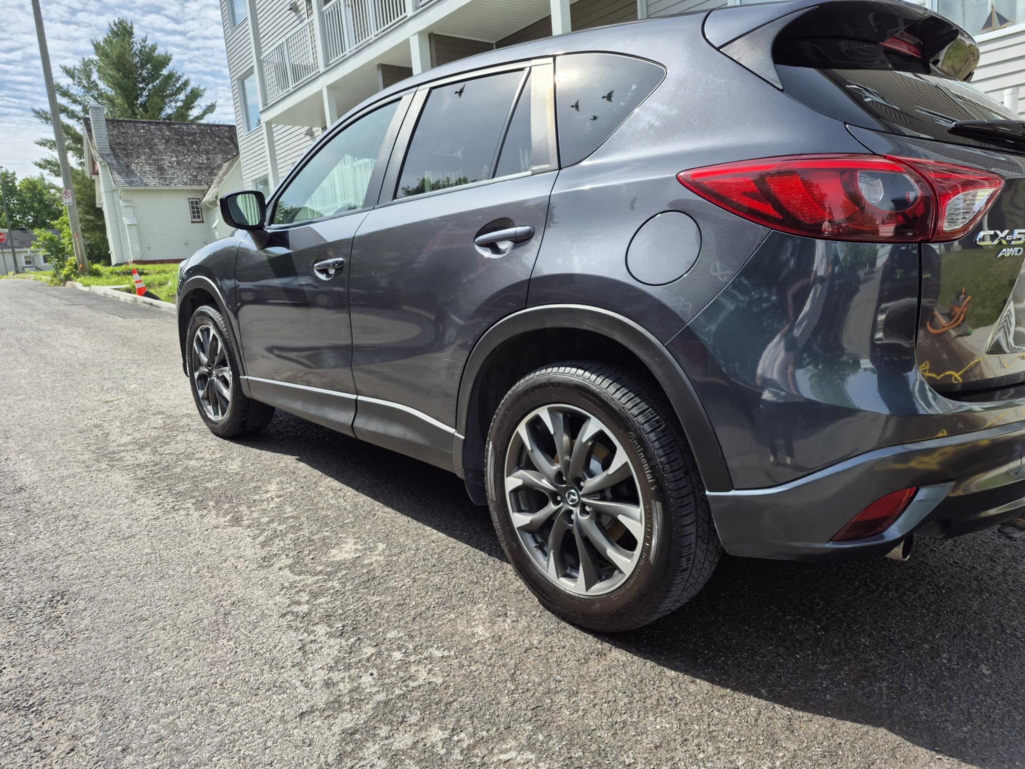 Travaux de nettoyage automobile 25